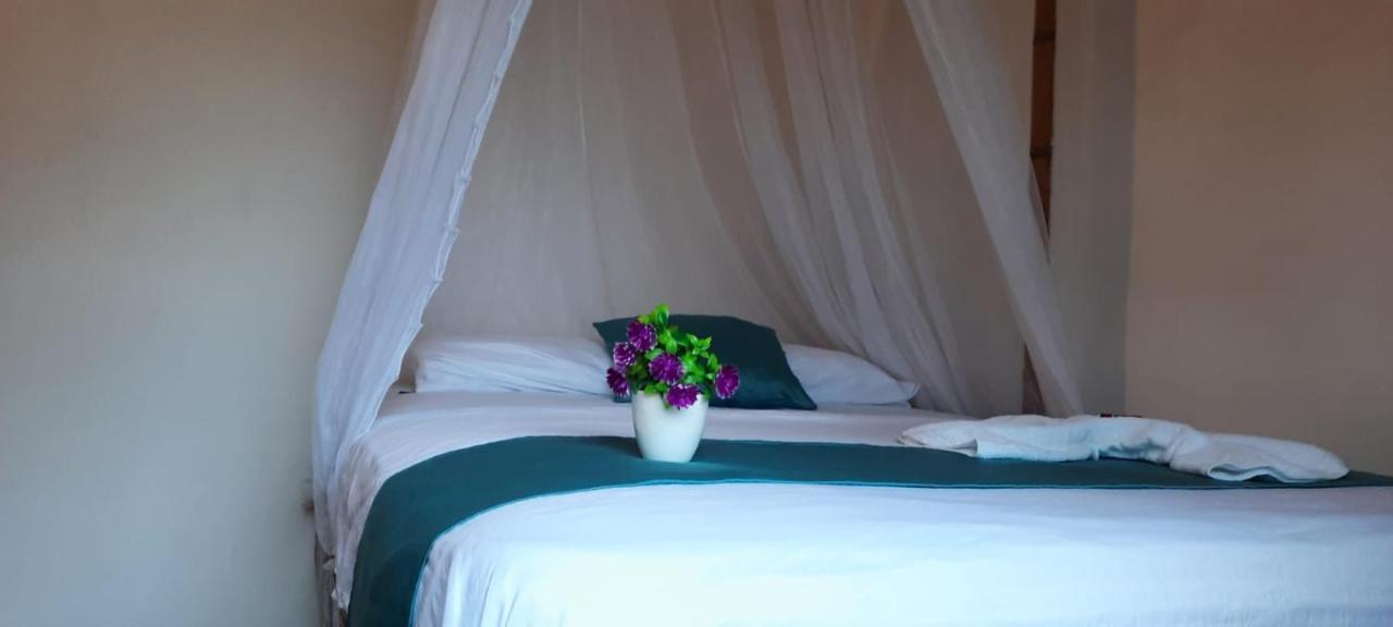 Rincon Del Mar Palomino Otel Dış mekan fotoğraf
